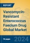 Vancomycin-Resistant Enterococcus Faecium Drug Global Market Insights 2024, Analysis and Forecast to 2029, by Manufacturers, Regions, Technology, Application - Product Thumbnail Image