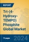 Tri-(4-Hydroxy-TEMPO) Phosphite Global Market Insights 2024, Analysis and Forecast to 2029, by Manufacturers, Regions, Technology, Application - Product Thumbnail Image