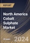 North America Cobalt Sulphate Market Size, Share & Trends Analysis Report By Application (Batteries, Alloys, Magnets, Hard Materials, Catalyst, Inks & Dyes and Others), By Country and Growth Forecast, 2023 - 2030 - Product Thumbnail Image