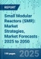 Small Modular Reactors (SMR): Market Strategies, Market Forecasts 2025 to 2050 - Product Thumbnail Image