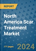 North America Scar Treatment Market by Product Type, End-Use, and Country-wise Insights: Industry Analysis, Size, Share, Growth, Trends, and Forecast, 2023-2030- Product Image
