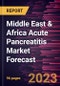Middle East & Africa Acute Pancreatitis Market Forecast to 2030 - Regional Analysis - by Offerings, Causes, and End User - Product Image