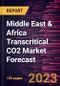 Middle East & Africa Transcritical CO2 Market Forecast to 2030 - Regional Analysis - By Application (Ice Skating Rinks, Food Processing & Storage Facilities, Heat Pumps, Supermarkets & Convenience Stores, and Others) and Function (Air Conditioning, Refrigeration, and Heating) - Product Image