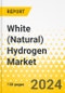 White (Natural) Hydrogen Market: Focus on Exploration, Identified Deposits, and Future Scenarios - Product Thumbnail Image