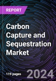 Carbon Capture and Sequestration Market by End - Use (Enhanced Oil Recovery {EOR} and Dedicated Storage & Treatment), By Capture Source (Chemicals, Natural Gas Processing, Power Generation, Fertilizers Production, and Others), Regional Outlook - Global Forecast up to 2030- Product Image