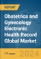 Obstetrics and Gynecology (OB-GYN) Electronic Health Record (EHR) Global Market Report 2024 - Product Thumbnail Image