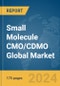 Small Molecule CMO/CDMO Global Market Report 2024 - Product Thumbnail Image