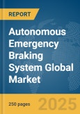 Autonomous Emergency Braking System (AEBS) Global Market Report 2024- Product Image