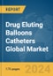 Drug Eluting Balloons Catheters Global Market Report 2024 - Product Image