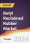 Butyl Reclaimed Rubber Market Report: Trends, Forecast and Competitive Analysis to 2030 - Product Thumbnail Image