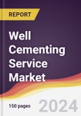 Well Cementing Service Market Report: Trends, Forecast and Competitive Analysis to 2030- Product Image