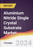 Aluminium Nitride Single Crystal Substrate Market Report: Trends, Forecast and Competitive Analysis to 2030- Product Image