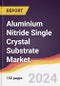 Aluminium Nitride Single Crystal Substrate Market Report: Trends, Forecast and Competitive Analysis to 2030 - Product Thumbnail Image