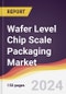 Wafer Level Chip Scale Packaging Market Report: Trends, Forecast and Competitive Analysis to 2030 - Product Thumbnail Image