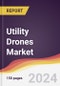 Utility Drones Market Report: Trends, Forecast and Competitive Analysis to 2030 - Product Image