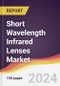 Short Wavelength Infrared Lenses Market Report: Trends, Forecast and Competitive Analysis to 2030 - Product Thumbnail Image