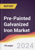 Pre-Painted Galvanized Iron Market Report: Trends, Forecast and Competitive Analysis to 2030- Product Image