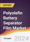 Polyolefin Battery Separator Film Market Report: Trends, Forecast and Competitive Analysis to 2030- Product Image