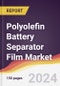 Polyolefin Battery Separator Film Market Report: Trends, Forecast and Competitive Analysis to 2030 - Product Thumbnail Image