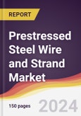 Prestressed Steel Wire and Strand Market Report: Trends, Forecast and Competitive Analysis to 2030- Product Image