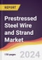 Prestressed Steel Wire and Strand Market Report: Trends, Forecast and Competitive Analysis to 2030 - Product Thumbnail Image