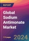 Global Sodium Antimonate Market Size, Market Share, Application Analysis, Regional Outlook, Growth Trends, Key Players, Competitive Strategies and Forecasts, 2023 to 2031 - Product Thumbnail Image