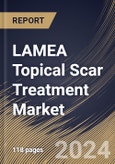 LAMEA Topical Scar Treatment Market Size, Share & Trends Analysis Report By End-use, By Scar Type (Atrophic Scars, Hypertrophic & Keloid Scars, Contracture Scars, and Stretch Marks), By Product, By Country and Growth Forecast, 2023 - 2030- Product Image