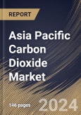 Asia Pacific Carbon Dioxide Market Size, Share & Trends Analysis Report By Application, By Form, By Source (Ethyl Alcohol, Hydrogen, Ethylene Oxide, Substitute Natural Gas, and Others), By Country and Growth Forecast, 2023 - 2030- Product Image