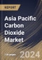 Asia Pacific Carbon Dioxide Market Size, Share & Trends Analysis Report By Application, By Form, By Source (Ethyl Alcohol, Hydrogen, Ethylene Oxide, Substitute Natural Gas, and Others), By Country and Growth Forecast, 2023 - 2030 - Product Thumbnail Image