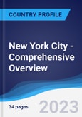 New York City - Comprehensive Overview, PEST Analysis and Analysis of Key Industries including Technology, Tourism and Hospitality, Construction and Retail- Product Image