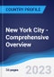New York City - Comprehensive Overview, PEST Analysis and Analysis of Key Industries including Technology, Tourism and Hospitality, Construction and Retail - Product Image