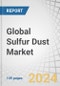 Global Sulfur Dust Market by Form (Sublimed and Precipitated), End-use Industry (Agricultural, Rubber Processing, Chemical Processing, Pharmaceutical) and Region (North America, Europe, APAC, MEA, & South America) - Forecast to 2028 - Product Image