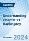 Understanding Chapter 11 Bankruptcy - Webinar - Product Thumbnail Image