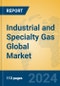 Industrial and Specialty Gas Global Market Insights 2024, Analysis and Forecast to 2029, by Manufacturers, Regions, Technology, Application - Product Image