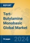 Tert-Butylamine Monobasic Global Market Insights 2024, Analysis and Forecast to 2029, by Manufacturers, Regions, Technology, Application - Product Image