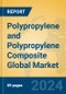 Polypropylene and Polypropylene Composite Global Market Insights 2024, Analysis and Forecast to 2029, by Manufacturers, Regions, Technology, Application - Product Image