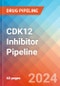 CDK12 Inhibitor - Pipeline Insight, 2024 - Product Image