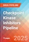 Checkpoint kinase inhibitors - Pipeline Insight, 2024 - Product Image