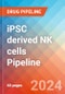 iPSC derived NK cells - Pipeline Insight, 2024 - Product Image