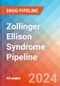 Zollinger Ellison Syndrome - Pipeline Insight, 2024 - Product Thumbnail Image