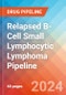 Relapsed B-Cell Small Lymphocytic Lymphoma - Pipeline Insight, 2024 - Product Image