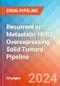 Recurrent or Metastatic HER2-Overexpressing Solid Tumors - Pipeline Insight, 2024 - Product Image