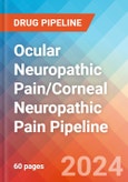 Ocular Neuropathic Pain/Corneal Neuropathic Pain - Pipeline Insight, 2024- Product Image