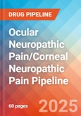 Ocular Neuropathic Pain/Corneal Neuropathic Pain - Pipeline Insight, 2024- Product Image