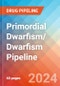 Primordial Dwarfism/ Dwarfism - Pipeline Insight, 2024 - Product Image