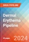 Dermal Erythema - Pipeline Insight, 2024 - Product Image
