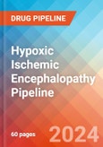 Hypoxic Ischemic Encephalopathy - Pipeline Insight, 2024- Product Image