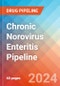 Chronic Norovirus Enteritis - Pipeline - Pipeline Insight, 2024 - Product Image