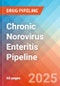 Chronic Norovirus Enteritis - Pipeline - Pipeline Insight, 2024 - Product Image