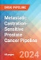 Metastatic Castration-Sensitive Prostate Cancer - Pipeline Insight, 2024 - Product Thumbnail Image
